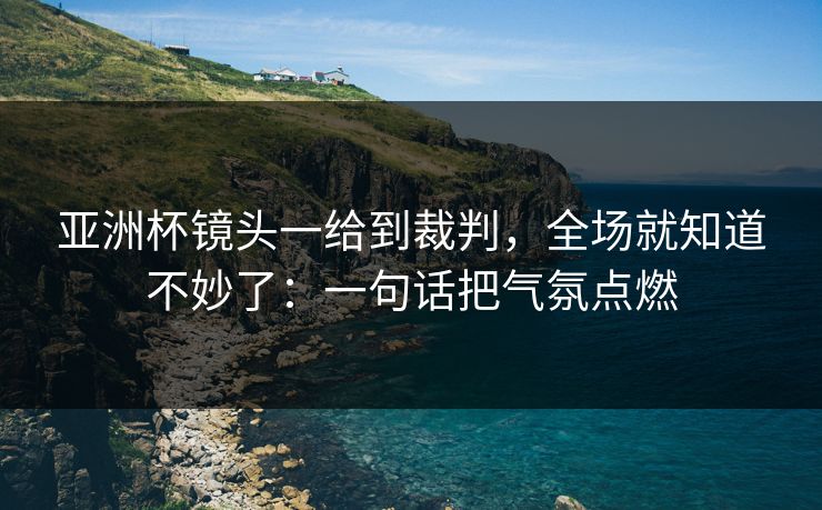 亚洲杯镜头一给到裁判，全场就知道不妙了：一句话把气氛点燃