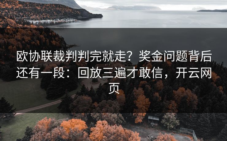 欧协联裁判判完就走？奖金问题背后还有一段：回放三遍才敢信，开云网页