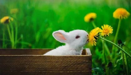 欧冠毕尔巴鄂突然被点名，训练插曲从一张截图开始：看懂的人不多