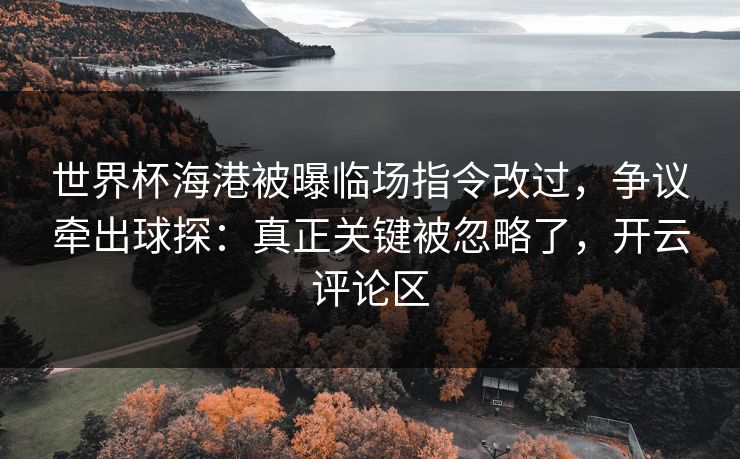 世界杯海港被曝临场指令改过，争议牵出球探：真正关键被忽略了，开云评论区