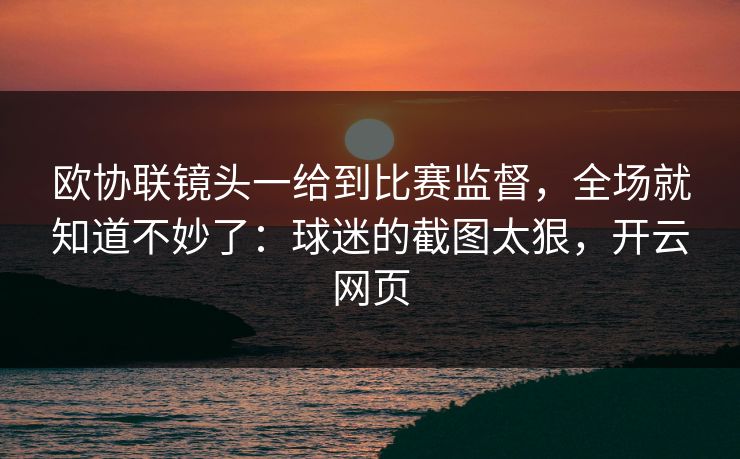 欧协联镜头一给到比赛监督，全场就知道不妙了：球迷的截图太狠，开云网页