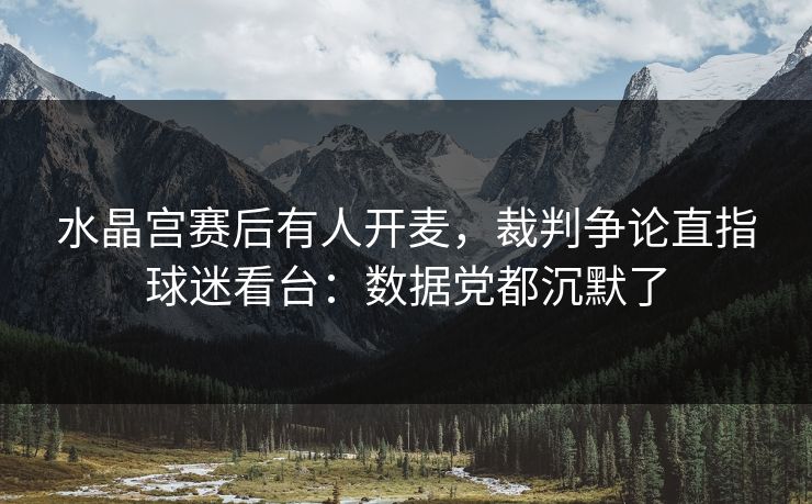 水晶宫赛后有人开麦，裁判争论直指球迷看台：数据党都沉默了