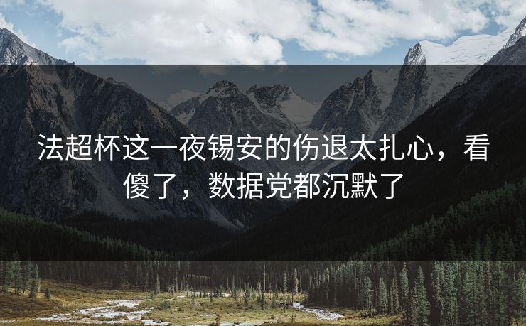 法超杯这一夜锡安的伤退太扎心，看傻了，数据党都沉默了
