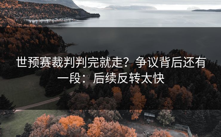 世预赛裁判判完就走?争议背后还有一段:后续反转太快 世预赛裁判判完就走?争议背后还有一段:后续反转太快