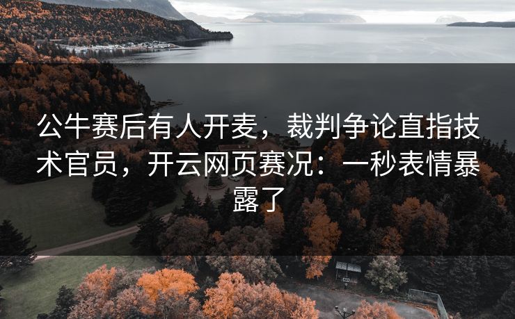 公牛赛后有人开麦,裁判争论直指技术官员,开云网页赛况:一秒表情暴露了 公牛赛后有人开麦,裁判争论直指技术官员,开云网页赛况:一秒表情暴露了