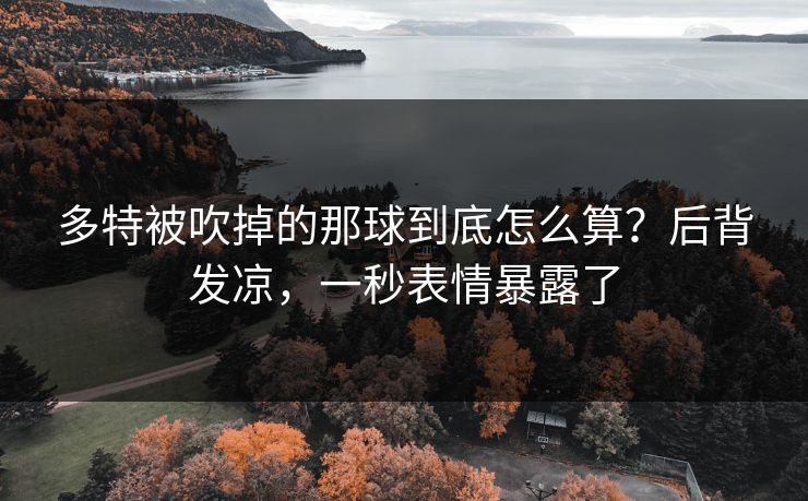 多特被吹掉的那球到底怎么算?后背发凉,一秒表情暴露了