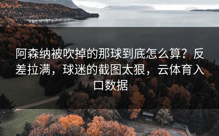 阿森纳被吹掉的那球到底怎么算？反差拉满，球迷的截图太狠，云体育入口数据
